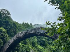 -石台牯牛降景区