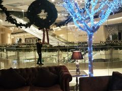 -苏浙总会(国金中心店)