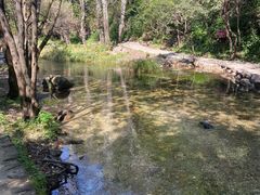 -玉渡山自然风景区