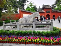 -洛阳白马寺