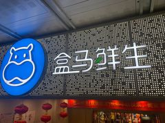 门面-盒马鲜生(双清路店)