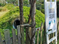 -前小桔亲子创意农场·草莓采摘·露营烧烤