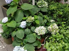 -泉乐坊步行街(烟酒特产平价超市店)