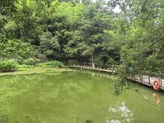 -莫干山风景区