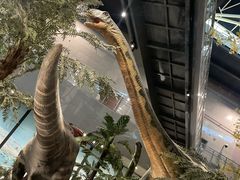 -湖南省地质博物馆