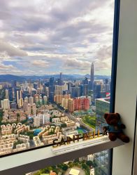 -圣贝拉母婴护理中心(深圳莱佛士店)