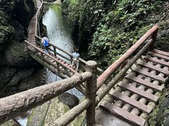 -青城山