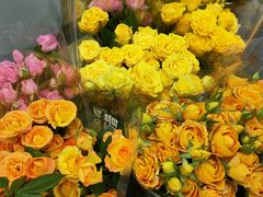 -鹿岛会员店 (龙湖三千集天街店)