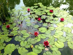 -国家植物园南园