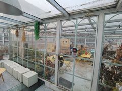 -小时光咖啡馆(北锣鼓巷店)