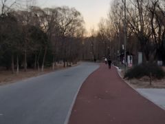 -国家会议中心大酒店