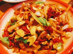 -柴窝堡22号辣子鸡·传承新疆菜