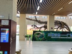 -广西壮族自治区博物馆