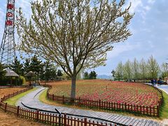 -羊亭河湿地公园