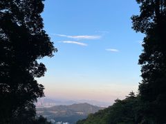 -广州市帽峰山景区