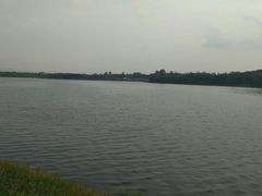 -白鹭湾湿地公园