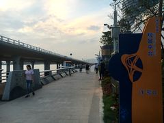 -演武大桥观景平台