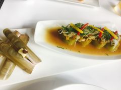-FOUNT创意日料