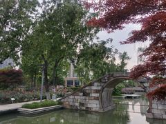 -青枫公园
