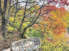 -少华山国家森林公园