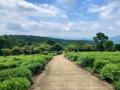 -穹窿山景区