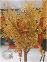 -海茱雅科技健康美容