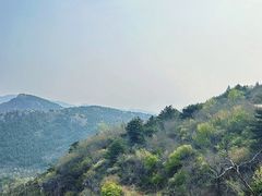 -府君山公园