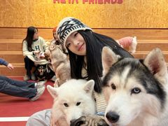 -和它·交个朋友·狗咖猫咖(爱琴海店)