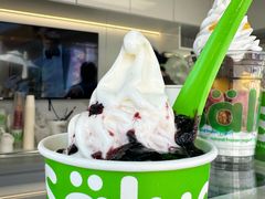 -Salud撒露欧洲冻酸奶(蓝色港湾店)