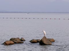 -深圳湾公园(南山区)