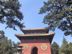 -普陀宗乘之庙