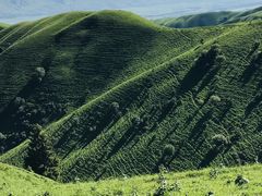-新疆那拉提国家旅游度假区