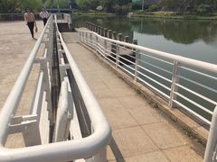 -新江湾城公园