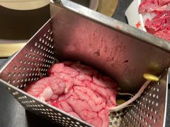 猪脑花-沸炉重庆老火锅(军事博物馆店)