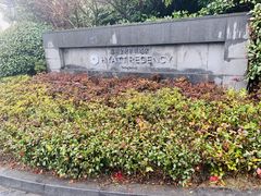 -上海崇明金茂凯悦酒店