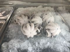 -铭聚章鱼土笋冻(松柏店)