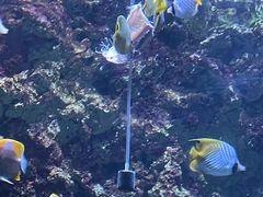-海合安青岛极地海洋公园