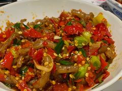 鸭掌筋-壹盏灯(蚂蚁工房店)