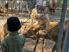 -长白岛森林公园