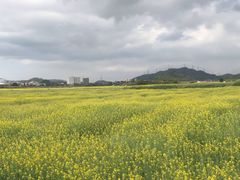-光明小镇欢乐田园