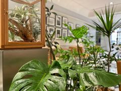 -一尺花园(安和花园店)