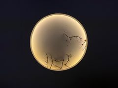 -璞禅足道(观音桥旗舰店)