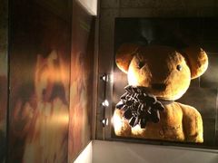 -济州岛泰迪熊博物馆