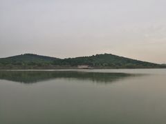 -羊山湖公园