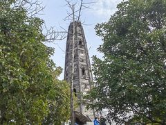 -上海佘山国家森林公园天马山园