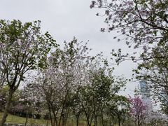 -凤岭儿童公园