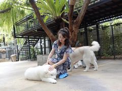 -TrueLove @ Neverland (Husky Cafe)