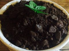 -懒鱼时光馆(沙坪坝店)