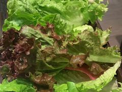 -本家韩国烤肉(财富大厦店)