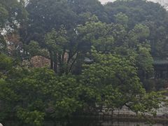 -柳侯公园